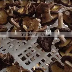 Heat Pump Fruit /fish/cassava Drying Machine thumbnail-3
