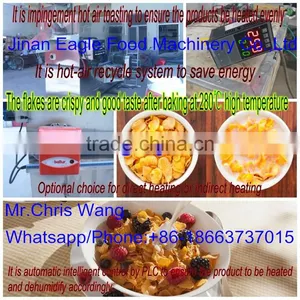 Screw Extruded Snack Processing Line thumbnail-2