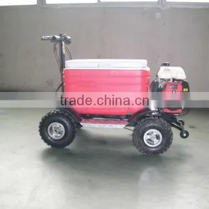 Hot Sale Popular Gas Cooler Scooter 43CC SX-G110 Popular From China thumbnail-5