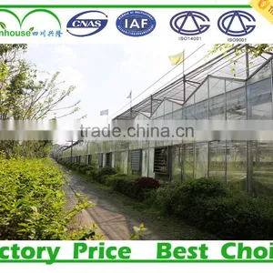 Greenhouses for Home Use thumbnail-2