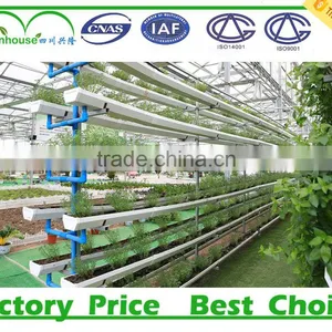 Used Commercial Hydroponics Greenhouses Covering Plastic for Sale thumbnail-1