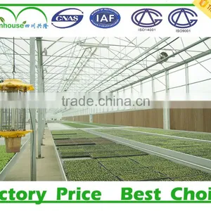 Plastic Greenhouse Agriculture thumbnail-1