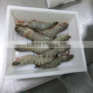 Frozen Shrimp and Grits thumbnail-1