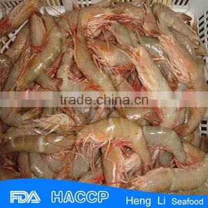 HL002 Seafood Frozen Raw Headless Shrimp thumbnail-2