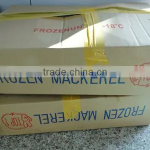 New Landing Frozen HGT Frozen Fresh Fish Pacific Mackerel for Can Company thumbnail-2