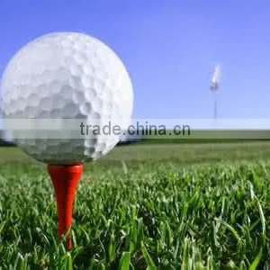 Printing Logo Plastic Golf Tee Marker thumbnail-3