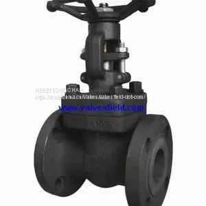 Forged Steel Valves thumbnail-4