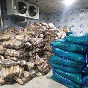Vegetable Cold Room thumbnail-3