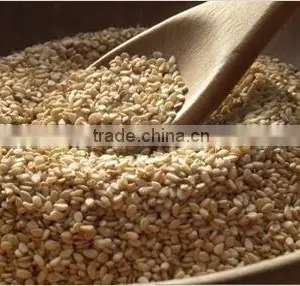 WHITE SESAME SEED thumbnail-1