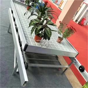 Seedbed thumbnail-1
