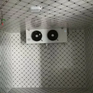 Medium Size Cold Storage,Cold Room,Cold House thumbnail-4