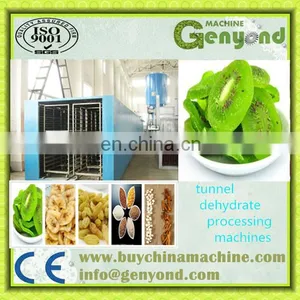 Fruit and Food Microwave Tunnel Dryer/Dehydrator and Sterilizer Machine thumbnail-2