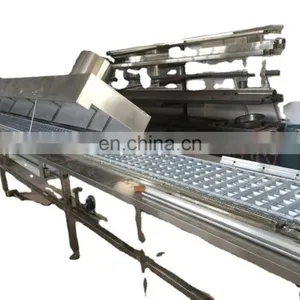 Custom Automatic Jaggery Plant With Osmanthus Production Line in Low Price thumbnail-1
