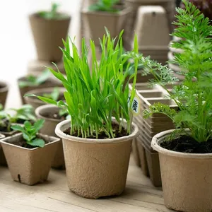 Nursery Pot-peat Pot-planter Molded Pulp Fiber Flower Pot thumbnail-5