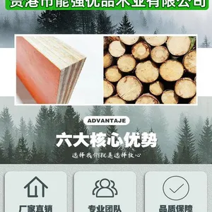 Formwork, Shuttering Panel, Construction Plywood thumbnail-1