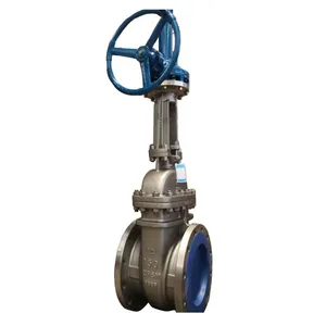 ANSI 150LB SS 304 Stainless Steel Flange Gate Valve Cast Steel WCB Manual Resilient Seat Rising Stem Gate Valve thumbnail-1