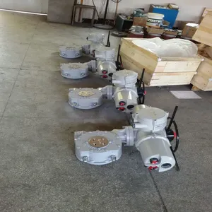 Standard Z15 Normal Type IP55 N. M 150 Electric Actuator for Gate Valve thumbnail-5