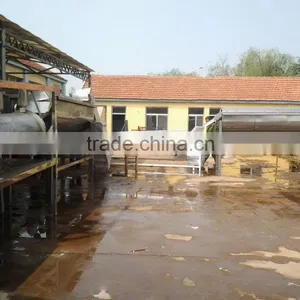 Chicken Feet Skin Removing Machine / Chicken Feet( Paws) Peeling Machine / Chicken Feet Peeling Production Line thumbnail-3
