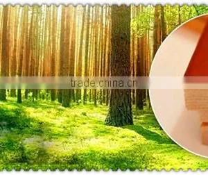 Best Sale Wood Photo Frame Wall Combination With Lower Price thumbnail-4