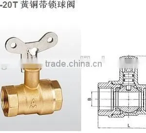 Check Valve With Lock thumbnail-4