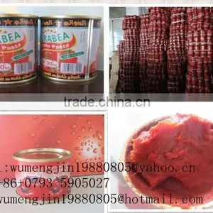 425G Cold Break Canned Tomato Paste to Tomato Sauce With Best Price thumbnail-1