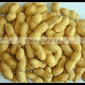 Chinese Roasted Peanut in Shell thumbnail-1