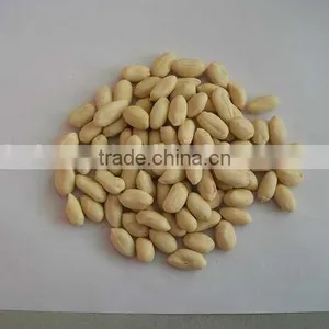 Chinese Peanut Kernel Without Skin thumbnail-1