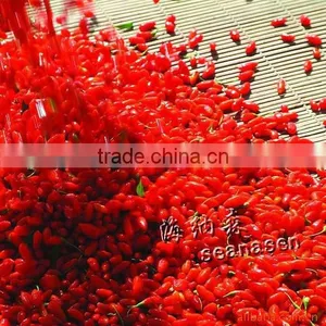 100% Goji Berry thumbnail-1