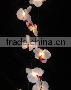 Wedding Decoration Lights thumbnail-1