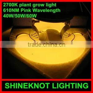 2700K E40/E27 40W Induction Lamp Grow Light Low Deline Than LED Grow Light thumbnail-1