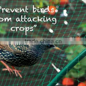 Agricultural Bird Netting thumbnail-1