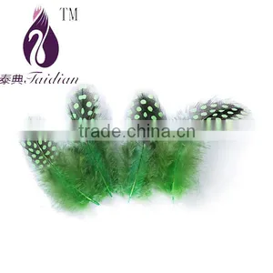 Natural Pearl Chicken Feathers,guinea Fowl Feather Trim Quality Choice thumbnail-6