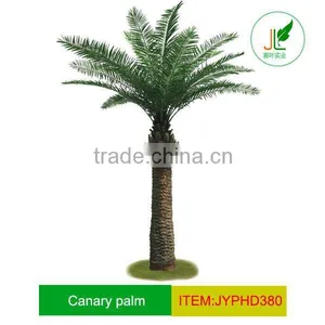 Outdoor/outside Artificial Canary Date Palm Tree thumbnail-1