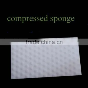 Manufacturer Wholesale Various Promotion Scouring Pad Kitchen Window Sponge thumbnail-2