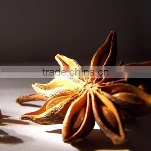 High Quality Star Anis Extract(5:1,10:1,20:1) thumbnail-1