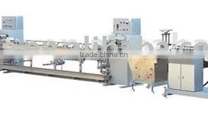 PP or PET Bale Strap Production Line thumbnail-1