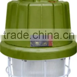 Flameproof Exd Explosion-proof Lamp 250W thumbnail-1