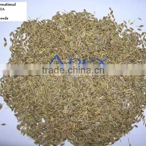 Spice-Dill Seeds / Anthem Graveolens / Suwa thumbnail-1
