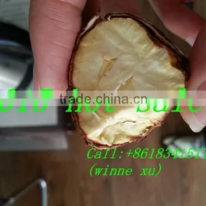 Good Quality Chestnut,bulk and Taste thumbnail-1