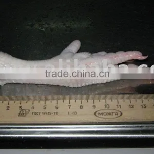 CHICKEN FEET thumbnail-1