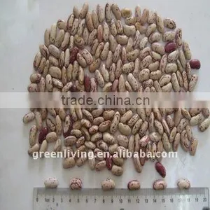 2011 Chinese Red Speckled Kidney Beans(cheapest Price) thumbnail-1