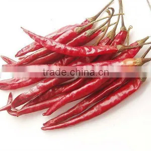 we Supply Red Chilli thumbnail-1