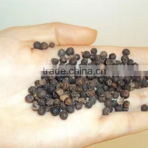 VIETNAM BLACK PEPPER thumbnail-1