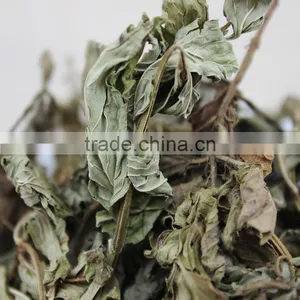 Dried Mint Leaf,spearmint Tea,organic Spearmint Tea thumbnail-2