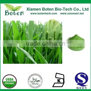 Natural Barley Wheatgrass Juice Extract/Barley Wheatgrass Powder/barley Wheatgrass Extract thumbnail-2
