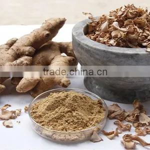 Ginger Powder thumbnail-1
