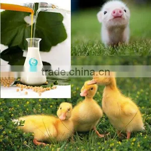 Soya Lecithin Shrimp and Fish Feed Additive thumbnail-1