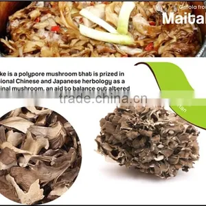 Best Selling Organic Dried Maitake Mushroom thumbnail-4