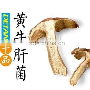 New Dried Boletus Edulis Price, Porcini Mushrooms for Sale thumbnail-2