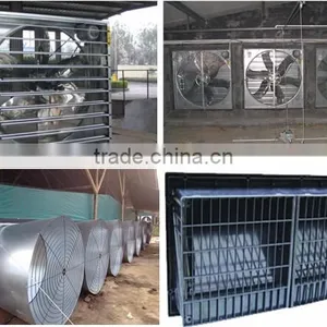 Full Automatic Africa Farm Poultry Equipment for Chickens thumbnail-4